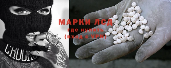 гашик Ельня
