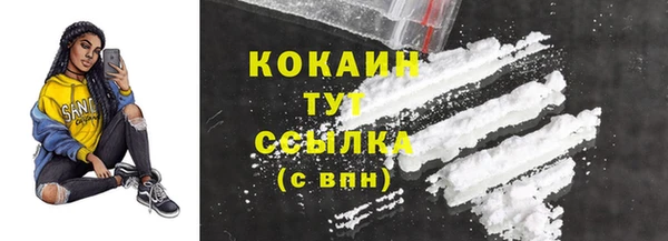 ПСИЛОЦИБИНОВЫЕ ГРИБЫ Гусь-Хрустальный