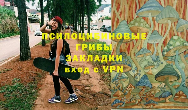 ECSTASY Гусев