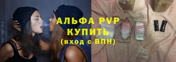 ECSTASY Гусев