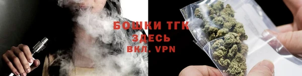 ПСИЛОЦИБИНОВЫЕ ГРИБЫ Гусь-Хрустальный