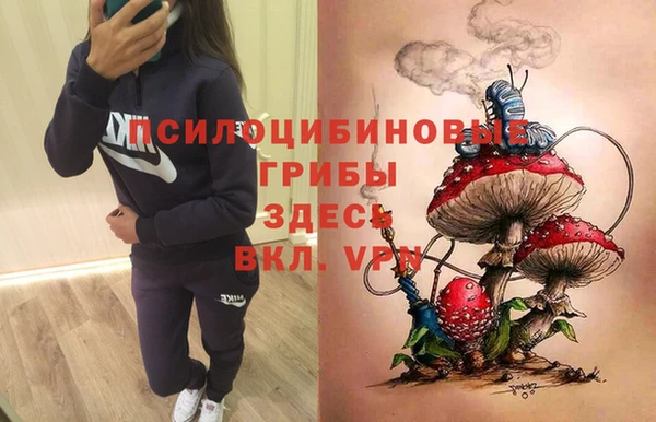гидра Гусиноозёрск