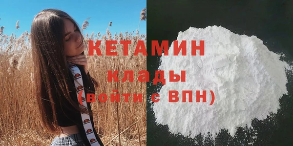 гидра Гусиноозёрск