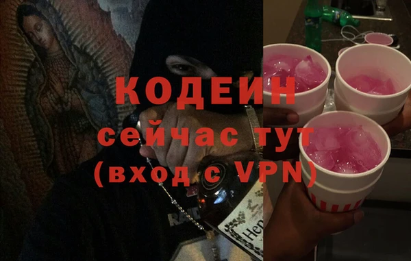 ПСИЛОЦИБИНОВЫЕ ГРИБЫ Гусь-Хрустальный
