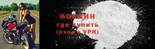 гидра Гусиноозёрск