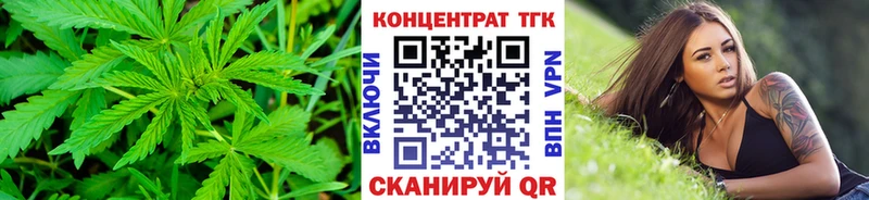 Купить где  Кяхта  ТГК вейп 