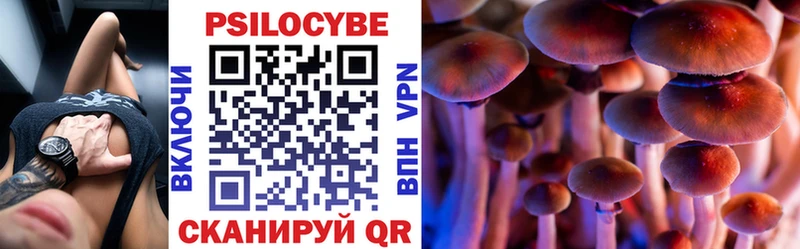 Псилоцибиновые грибы MAGIC MUSHROOMS  Купить где  Кяхта 
