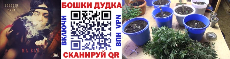 Канабис конопля  Купить где  Кяхта 